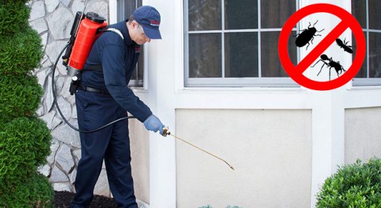 İslahiye Bit İlaçlama böcek ilaçlama ve haşere kontrolü — ilaclama-tr.com